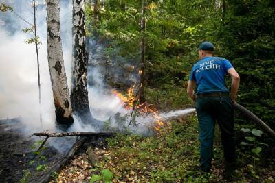 В Свердловской области увеличилась площадь пожаров. Горит лес у Чертова городища - znak.com - Екатеринбург - Свердловская обл.