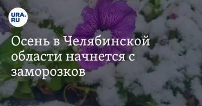 Осень в Челябинской области начнется с заморозков - ura.news - Челябинская обл.