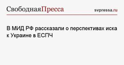 Григорий Лукьянцев - В МИД РФ рассказали о перспективах иска к Украине в ЕСПЧ - svpressa.ru - Москва - Россия - Украина