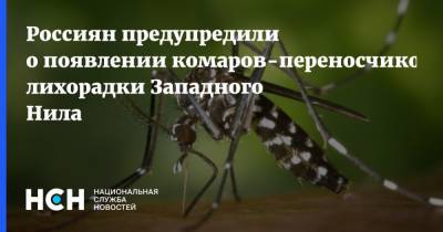 Россиян предупредили о появлении комаров-переносчиков лихорадки Западного Нила - nsn.fm - Россия - округ Южный