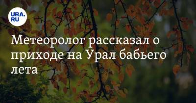 Александр Шувалов - Метеоролог рассказал о приходе на Урал бабьего лета - ura.news - Россия - Башкирия - Екатеринбург - Новосибирск - Уфа - Тюмень - Свердловская обл. - Курган - Пермский край - Экология