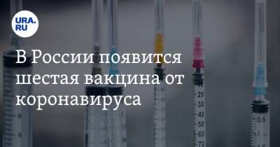 Дмитрий Лиознов - В России появится шестая вакцина от коронавируса - ura.news - Россия