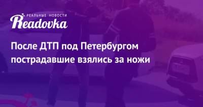 После ДТП под Петербургом пострадавшие взялись за ножи - readovka.news - Москва - Санкт-Петербург