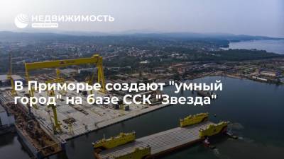 Правительство Приморского края: на базе ССК "Звезда" создают "умный город" - realty.ria.ru - Южная Корея - Приморье край - Владивосток - Строительство