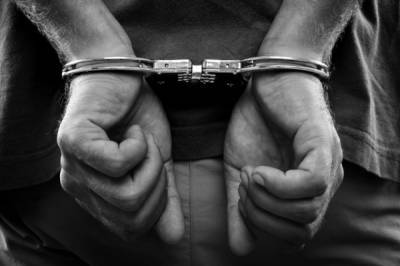 Ирина Волк - Задержаны подозреваемые в разбойном нападении на иностранцев в Москве - aif.ru - Москва - Россия - Ленинградская обл. - Санкт-Петербург - Ставрополье