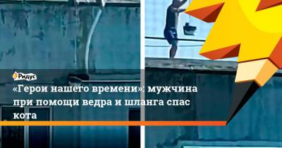 «Герои нашего времени»: мужчина при помощи ведра ишланга спас кота - ridus.ru - Новороссийск