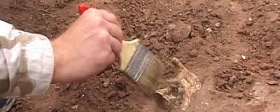 Ученые из УрФУ нашли у Нягани предметы быта древних жителей Нижнего Приобья - runews24.ru - Югра