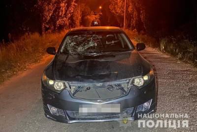 Полицейские Запорожья задержали водителя, сбившего семью с маленькой девочкой на острове Хортица - kp.ua - Украина - Запорожская обл. - Запорожье