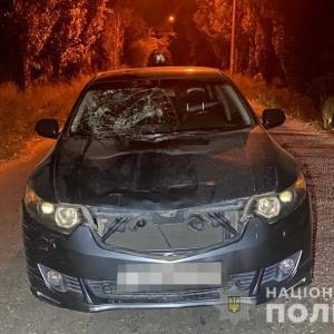На запорожской Хортице пьяный водитель сбил семейную пару с маленьким ребенком. Фото - reporter-ua.com - Запорожская обл. - Запорожье