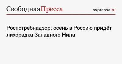 Роспотребнадзор: осень в Россию придёт лихорадка Западного Нила - svpressa.ru - Россия