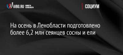 На осень в Ленобласти подготовлено более 6,2 млн сеянцев сосны и ели - ivbg.ru - Россия - Украина - Ленинградская обл. - Экология