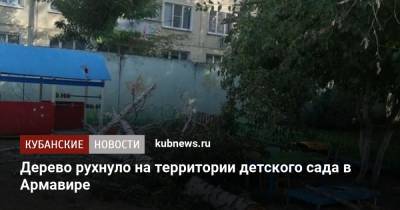 Дерево рухнуло на территории детского сада в Армавире - kubnews.ru - Анапа - Краснодарский край