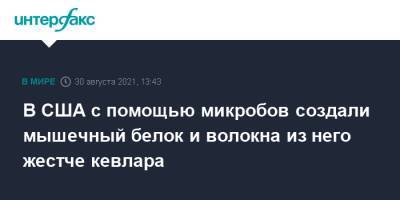 В США с помощью микробов создали мышечный белок и волокна из него жестче кевлара - interfax.ru - Москва - США