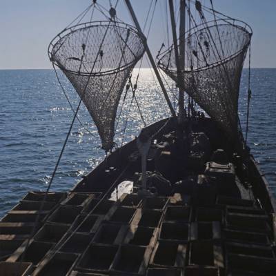Натия Турнава - Рыболовный флот Грузии пополнится новыми судами - trend.az - Грузия