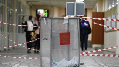 Татьяна Москалькова - Москалькова сообщила о приглашении иностранных омбудсменов на выборы в России - russian.rt.com - Австрия - Россия - Германия - Венгрия - Голландия