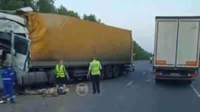 Стали известны подробности смертельного ДТП с двумя фурами - penzainform.ru