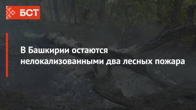 В Башкирии остаются нелокализованными два лесных пожара - bash.news - Башкирия - район Баймакский