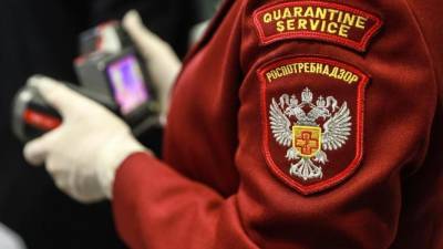 Россиян предупредили о появлении опасных комаров осенью - yur-gazeta.ru - Россия - округ Южный