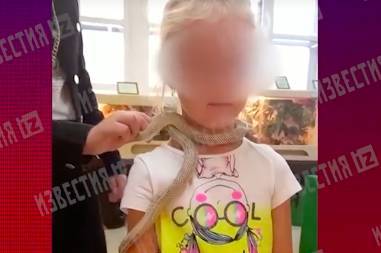 Змея укусила пятилетнюю посетительницу зоопарка в Екатеринбурге - eadaily.com - Екатеринбург
