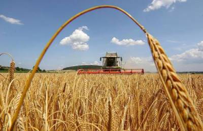 Названы хозяйства-лидеры по урожайности ранних зерновых на Львовщине - agroportal.ua - Украина - Львовская обл.