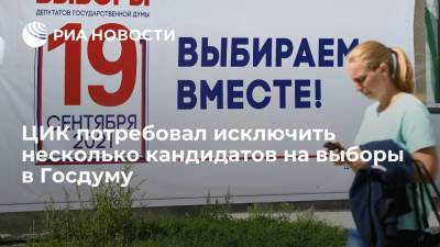 ЦИК обратится в суд с иском об отмене регистрации ряда кандидатов от "Яблока" - ria.ru - Москва - Россия