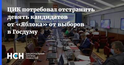 ЦИК потребовал отстранить девять кандидатов от «Яблока» от выборов в Госдуму - nsn.fm
