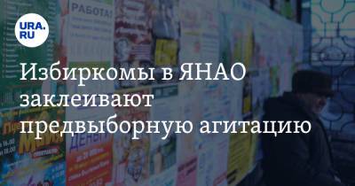 Избиркомы в ЯНАО заклеивают предвыборную агитацию. Фото - ura.news - Россия - Салехард - окр. Янао