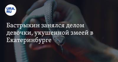Александр Бастрыкин - Бастрыкин занялся делом девочки, укушенной змеей в Екатеринбурге - ura.news - Россия - Екатеринбург - Свердловская обл.