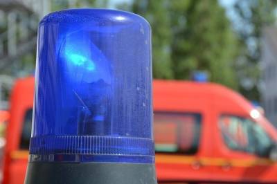 В Труслейке водитель иномарки ехал назад и сбил 3-летнюю малышку - ulpravda.ru - Ульяновская - район Инзенский