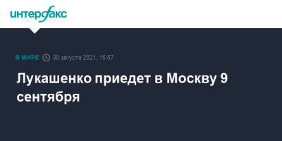 Владимир Путин - Дмитрий Песков - Александр Лукашенко - Лукашенко приедет в Москву 9 сентября - interfax.ru - Москва - Россия - Белоруссия