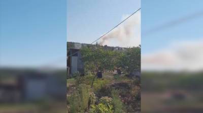 У воронежских многоэтажек загорелся лес: появилось видео - vestivrn.ru - Воронеж