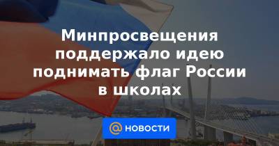 Сергей Кравцов - Минпросвещения поддержало идею поднимать флаг России в школах - news.mail.ru - Россия