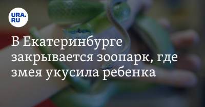 Александр Бастрыкин - В Екатеринбурге закрывается зоопарк, где змея укусила ребенка - ura.news - Россия - Екатеринбург