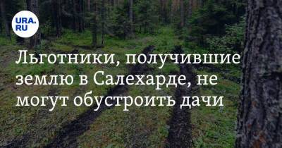 Иван Вершинин - Льготники, получившие землю в Салехарде, не могут обустроить дачи - ura.news - Салехард - окр. Янао