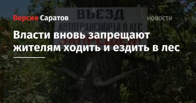 Власти вновь запрещают жителям ходить и ездить в лес - nversia.ru - Саратовская обл. - Экология