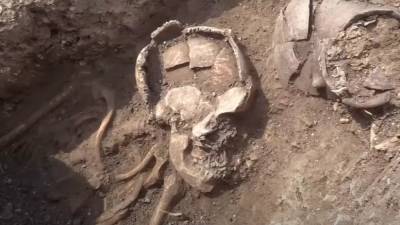 Обнаружены трансильванские скелеты с урнами для загробной жизни на головах - techno.bigmir.net