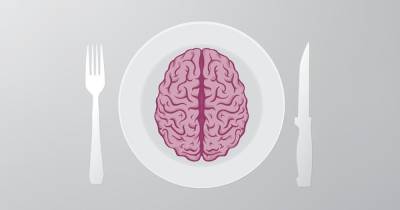 Ученые рассказали, зачем мозг все время сам себя ест - focus.ua - Украина