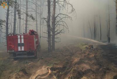 В Луганской области вспыхнули лесные пожары - kp.ua - Украина - Луганская обл. - Донецкая обл. - район Северодонецкий