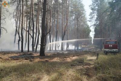 На Луганщине вспыхнул масштабный лесной пожар - for-ua.com - Украина - Луганская обл. - район Северодонецкий