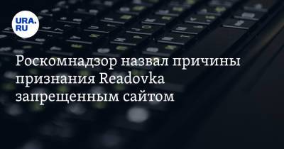 Роскомнадзор назвал причины признания Readovka запрещенным сайтом - ura.news - Россия - Московская обл.