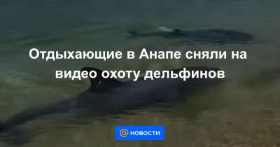 Екатерина Гура - Отдыхающие в Анапе сняли на видео охоту дельфинов - news.mail.ru - Анапа