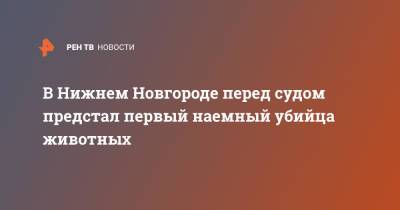 В Нижнем Новгороде перед судом предстал первый наемный убийца животных - ren.tv - Нижний Новгород - Нижний Новгород