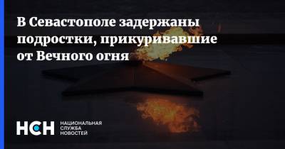 В Севастополе задержаны подростки, прикуривавшие от Вечного огня - nsn.fm - Россия - Севастополь