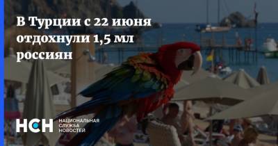 Дмитрий Горин - В Турции с 22 июня отдохнули 1,5 мл россиян - nsn.fm - Турция