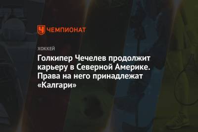 Голкипер Чечелев продолжит карьеру в Северной Америке. Права на него принадлежат «Калгари» - championat.com - Россия - Рязань