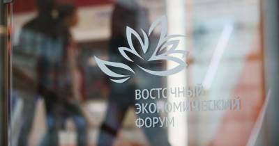Сумма контрактов на ВЭФ может достигнуть 4,5 трлн рублей - ren.tv - Россия - Владивосток