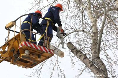 В Кургане отключат электричество для обрезки деревьев - kikonline.ru