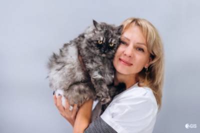 90% успеха в лечении животного – точная диагностика - hab.aif.ru - Хабаровск