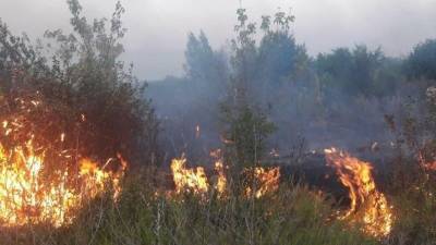 В Башкирии продолжают полыхать более 2500 га леса - bash.news - Башкирия - район Баймакский