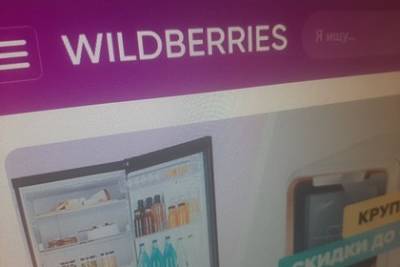 Виктор Достов - Финансист оценил вероятность отключения Wildberries от Visa и Mastercard - lenta.ru